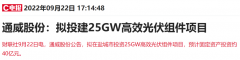 配资门户-耗资40亿2200亿硅料龙头投建高效光伏组件项目 上下游能否通吃？