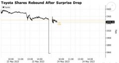 配资代理:胖手指失误？丰田汽车于日本股市重挫后反弹创一年多来最大涨幅